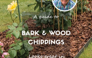wood and bark chippings feature
