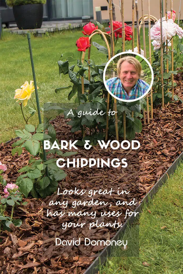 wood and bark chippings feature