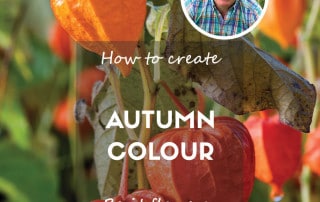 Autumn colour feature