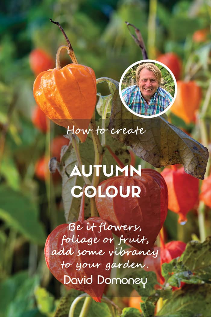 Autumn colour feature