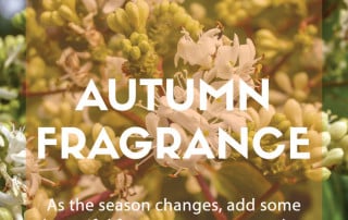 autumn fragrance