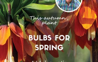 Planting bulbs for spring updated feature