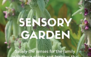 sensory garden design