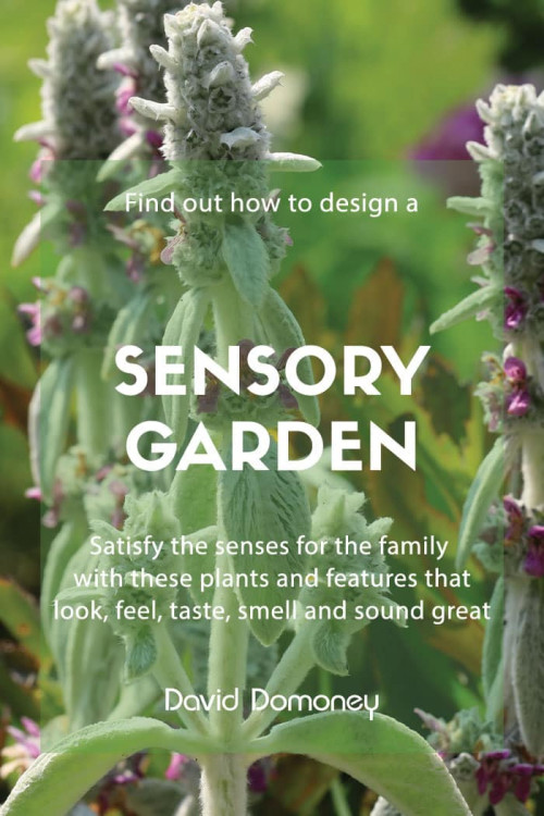 sensory garden design