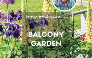 David Domoney How to design a balcony garden