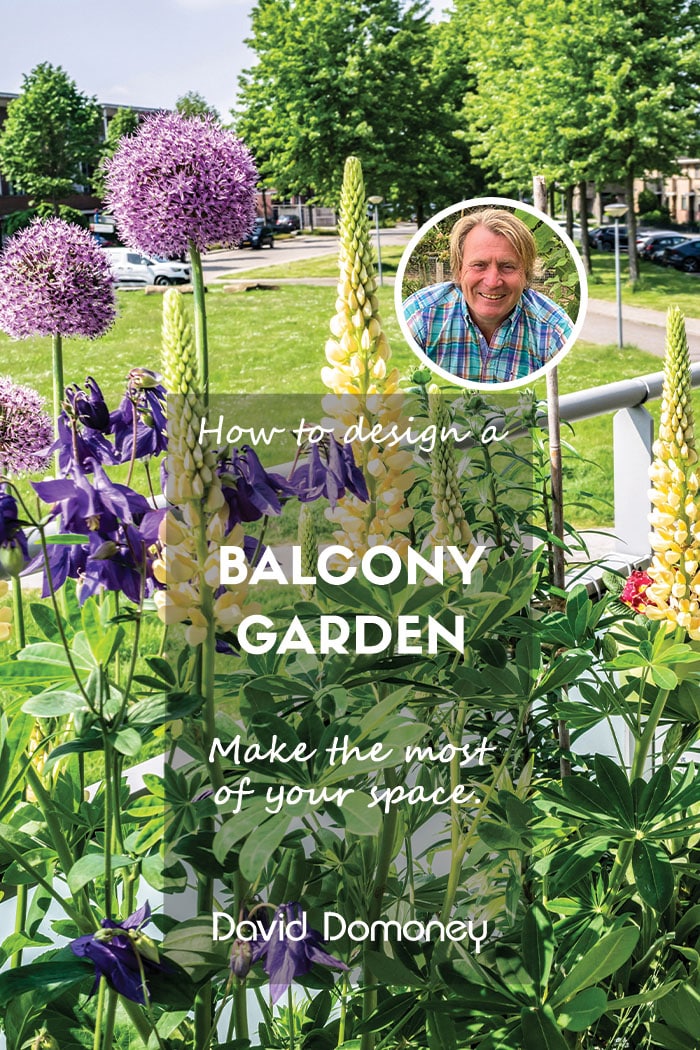 David Domoney How to design a balcony garden