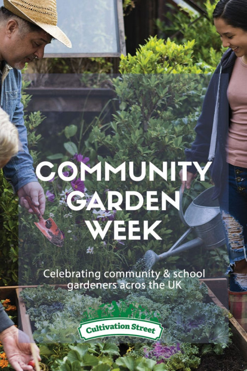 Community garden week, cultivation street, feature image