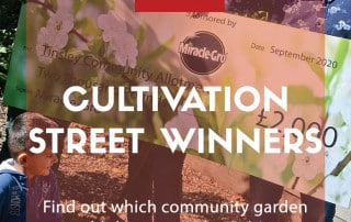 cultivation st winners