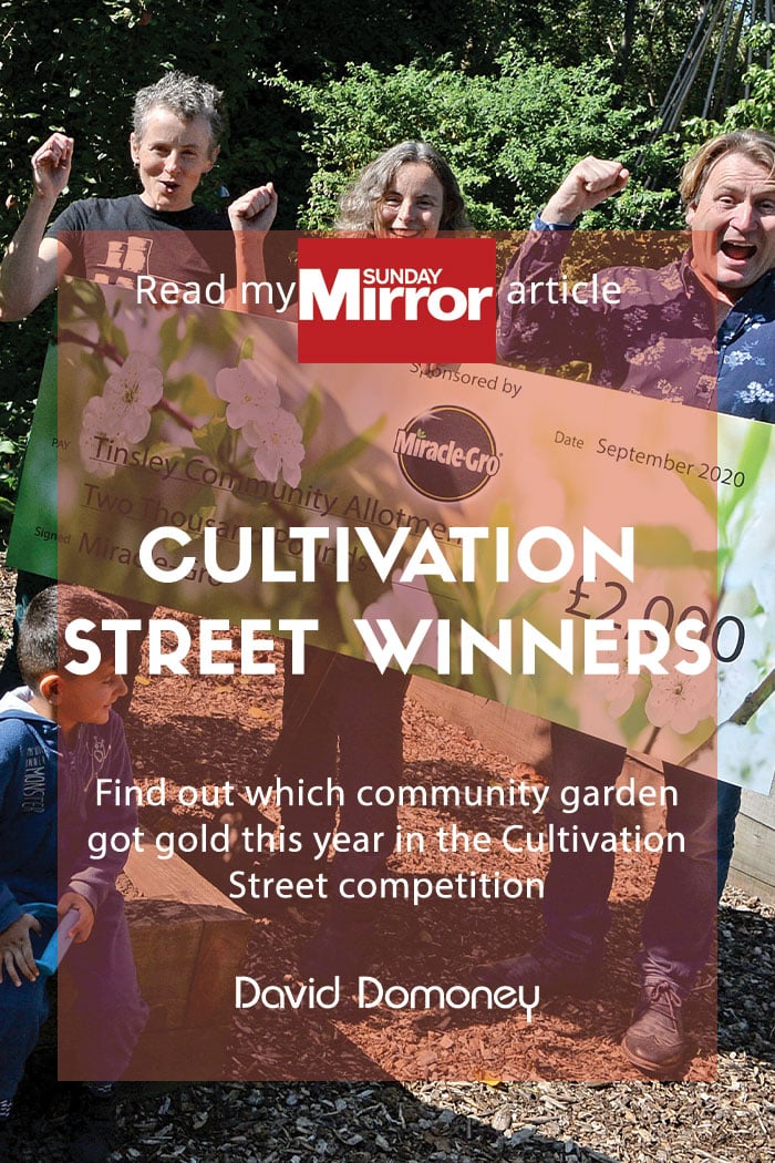 cultivation st winners