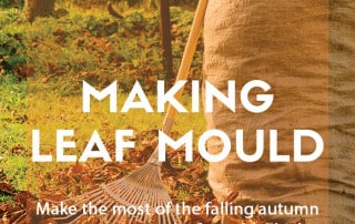 leaf mould