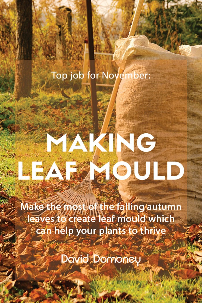 leaf mould