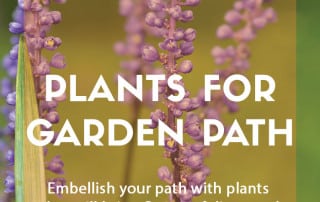 plants garden path
