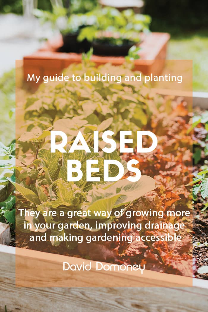 Raised beds feature