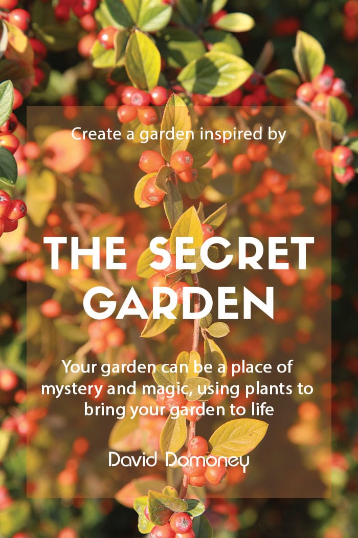 The Mystery and Magic of a Secret Garden