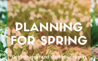 Planning for your spring garden