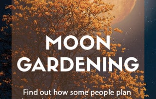 moon gardening