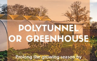 How to choose between a polytunnel and greenhouse