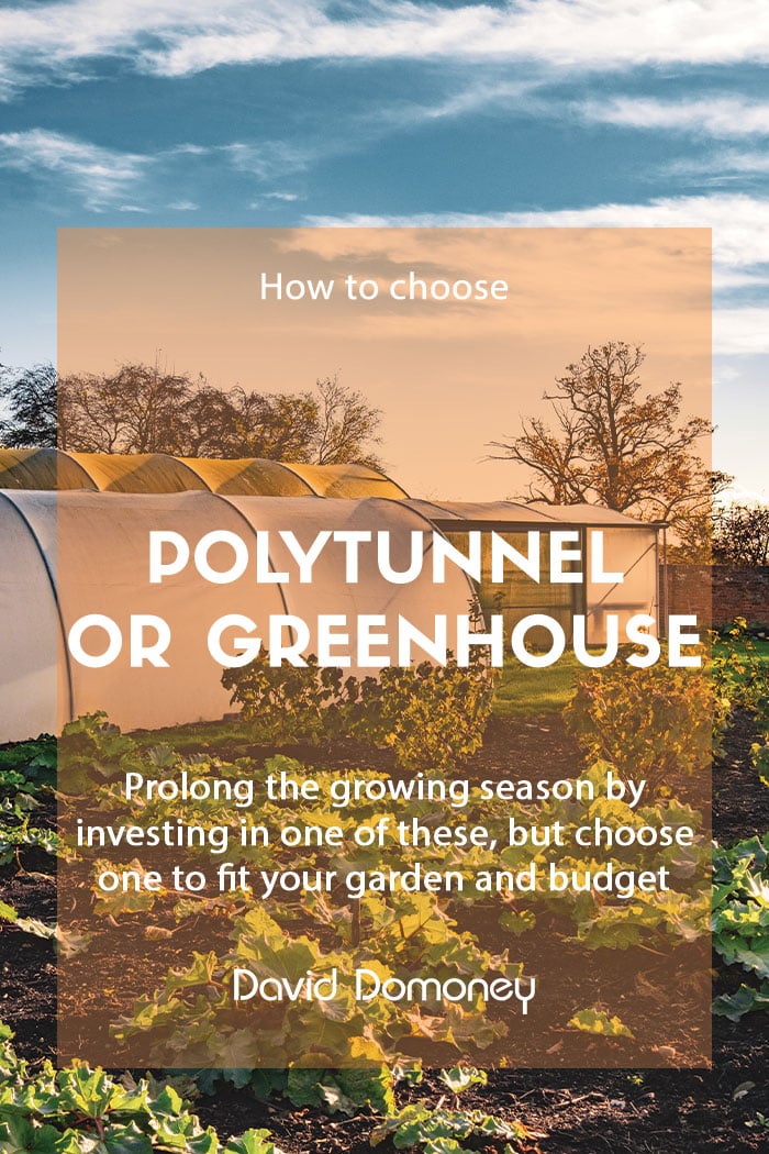 How to choose between a polytunnel and greenhouse