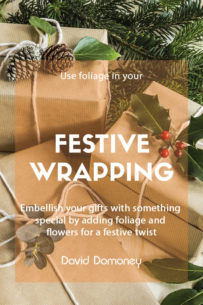 Festive wrapping with foliage