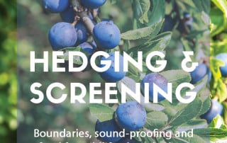 Plants for purpose hedging and screening