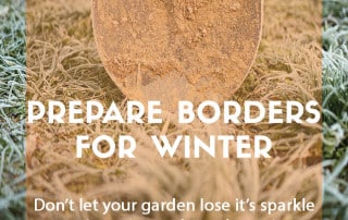 Prepare garden borders for winter