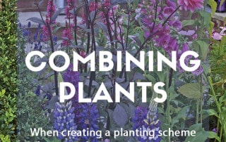 A guide to combining plants