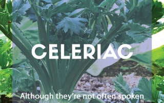 Grow your own celeriac