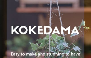 Make your own kokedama