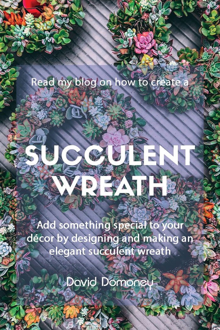 Make your own succulent wreath