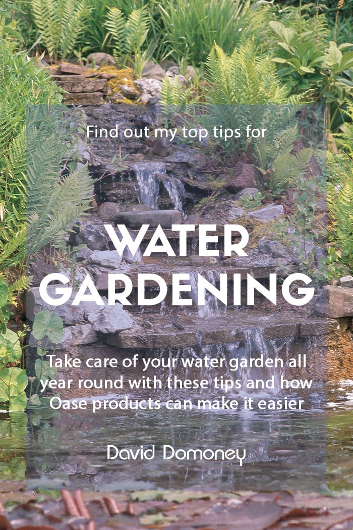 Oase water gardening tips