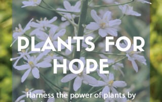 Plants that symbolise hope for your garden