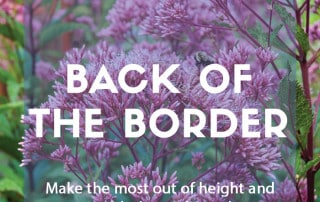Plants for purpose - Plants for the back of the border