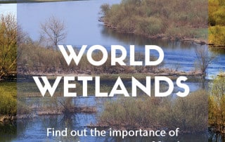 World Wetlands Day 2021