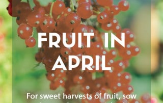 Grow your own fruit in April