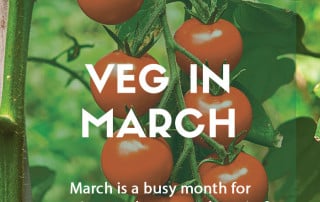 Grow your own veg in March