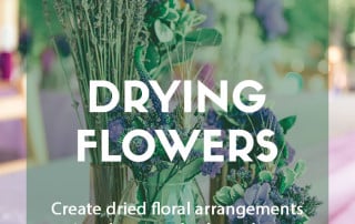 How to dry flowers and foliage