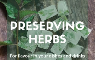 Preserving and storing homegrown herbs