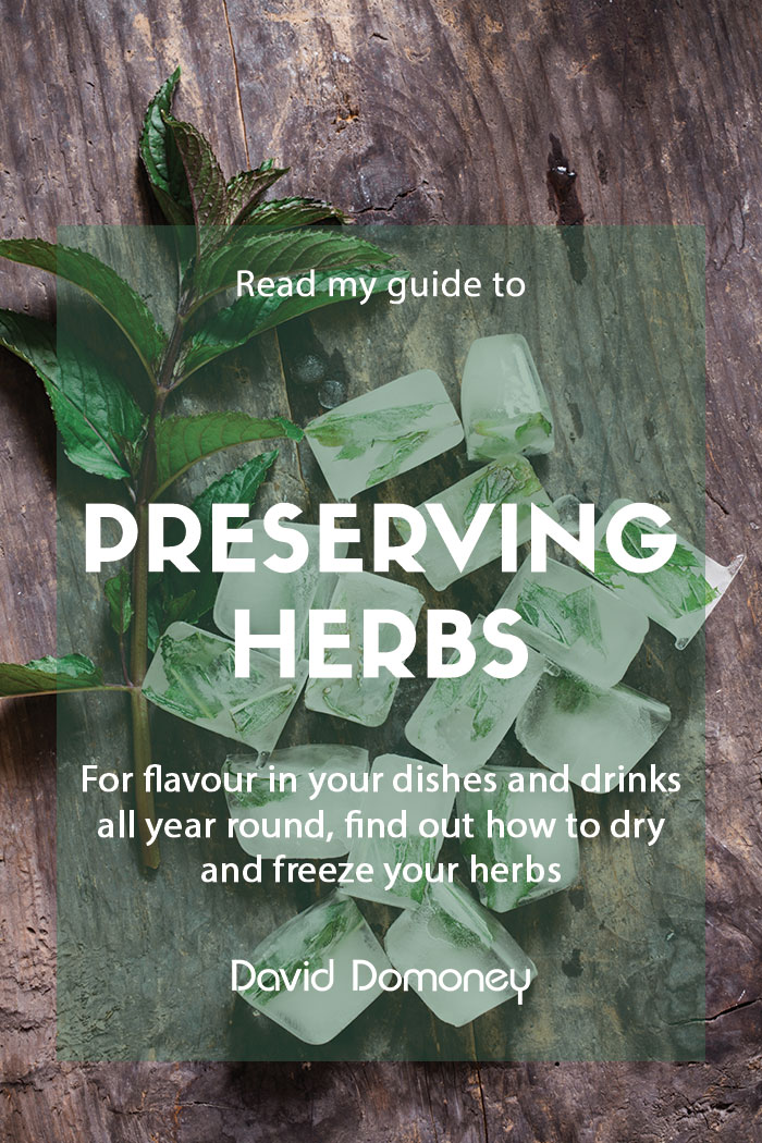 Preserving and storing homegrown herbs