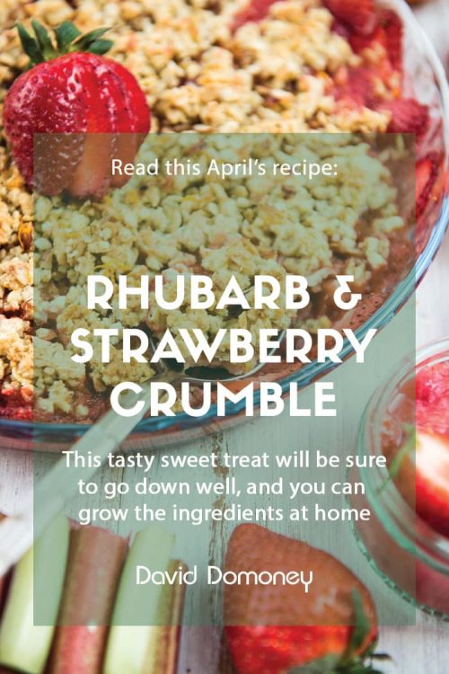 rhubarb strawberry crumble recipe feature