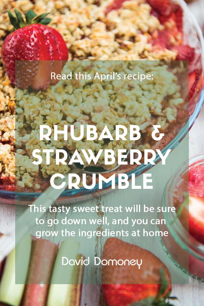 rhubarb strawberry crumble recipe feature