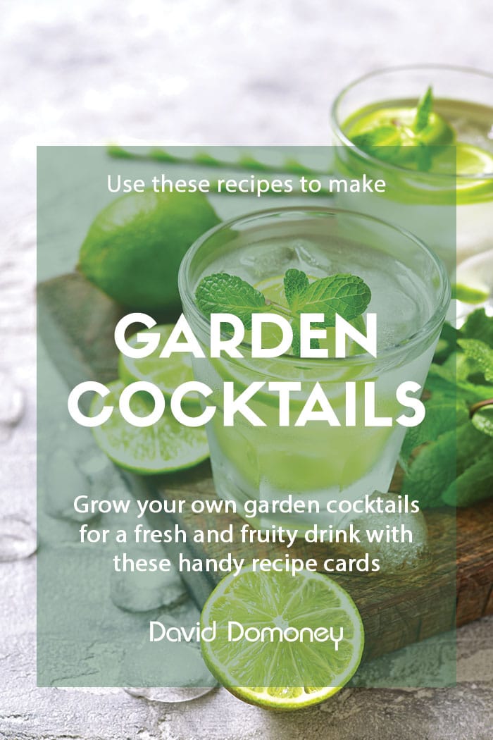 Recipe Garden cocktail feature