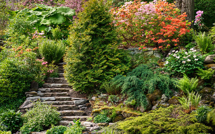 Lessons from The Hills: Gardening on Rocky and Steep Slopes, Gardening, Hudson Valley