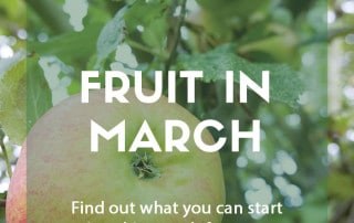 Top grow your own fruit for March