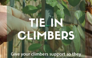 Top job for April Tie in climbers