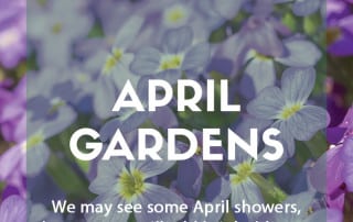Top ten plants for April gardens