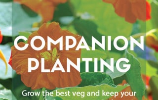 Companion planting in the garden
