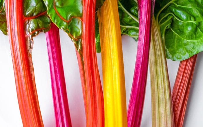Swiss-Chard-‘Bright-Lights’ Rose-petal-salad-2