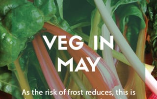 Top GYO veg to grow in May