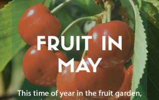 Top grow your own fruit in May