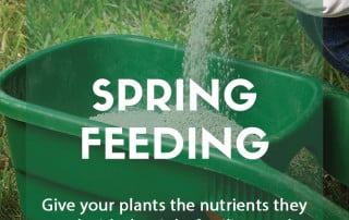 Top job for May - Spring feeding